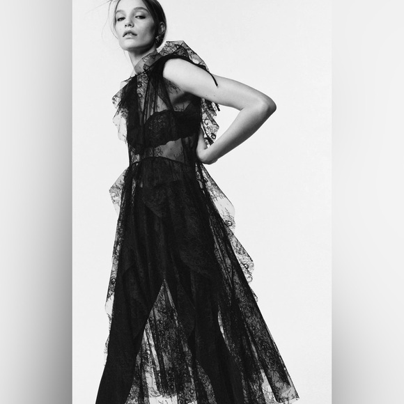 ZARA STUDIO LIMITED EDITION LACE MIDI DRESS - Picture 15 of 15